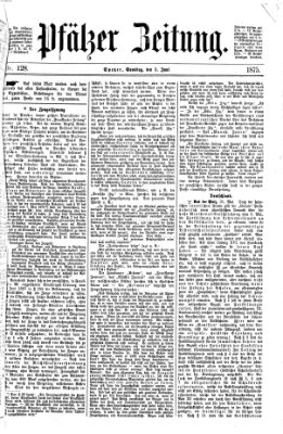 Pfälzer Zeitung Samstag 5. Juni 1875