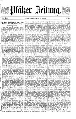 Pfälzer Zeitung Dienstag 9. November 1875