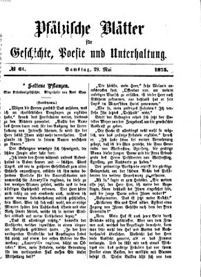 Pfälzische Blätter für Geschichte, Poesie und Unterhaltung (Zweibrücker Wochenblatt) Samstag 29. Mai 1875
