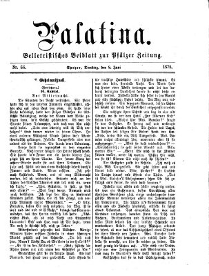 Palatina (Pfälzer Zeitung) Dienstag 8. Juni 1875