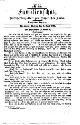 Familienschatz (Bayerischer Kurier) Montag 7. Juni 1875