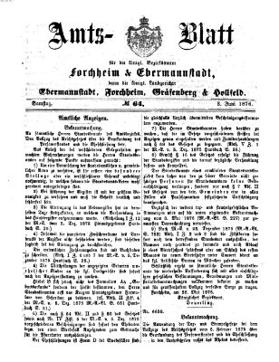 Amtsblatt für die Königlichen Bezirksämter Forchheim und Ebermannstadt sowie für die Königliche Stadt Forchheim Samstag 3. Juni 1876