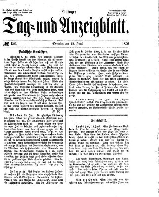 Dillinger Tag- und Anzeigeblatt (Tagblatt für die Städte Dillingen, Lauingen, Höchstädt, Wertingen und Gundelfingen) Sonntag 18. Juni 1876