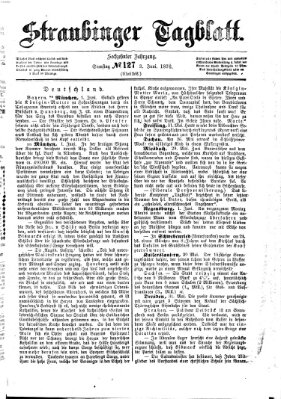 Straubinger Tagblatt Samstag 3. Juni 1876