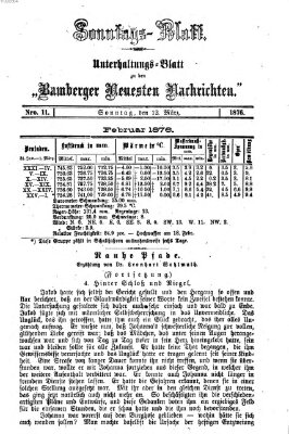 Bamberger neueste Nachrichten Sonntag 12. März 1876