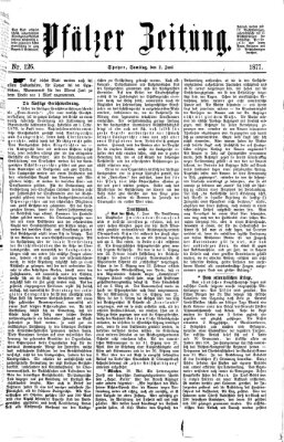 Pfälzer Zeitung Samstag 2. Juni 1877