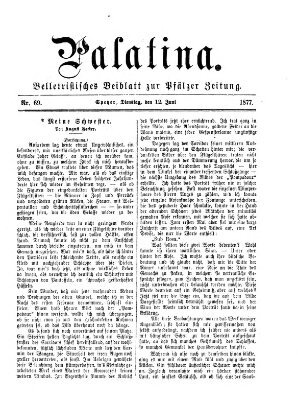 Palatina (Pfälzer Zeitung) Dienstag 12. Juni 1877