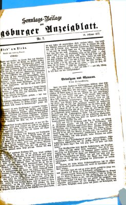 Augsburger Anzeigeblatt Sonntag 18. Februar 1877