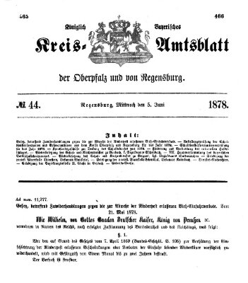Königlich-bayerisches Kreis-Amtsblatt der Oberpfalz und von Regensburg (Königlich bayerisches Intelligenzblatt für die Oberpfalz und von Regensburg) Mittwoch 5. Juni 1878