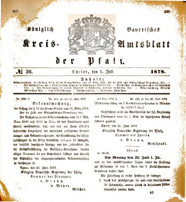 Königlich-bayerisches Kreis-Amtsblatt der Pfalz (Königlich bayerisches Amts- und Intelligenzblatt für die Pfalz) Montag 1. Juli 1878
